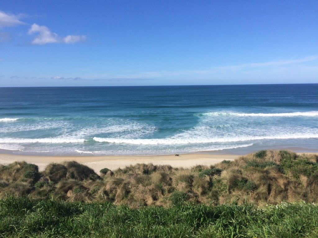 St Kilda Beach – Life in New Zealand